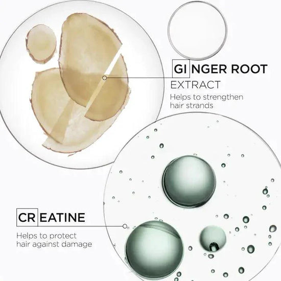 Close-up view of the ingredients in Kérastase Genesis Homme Bain de Force Quotidien Shampoo, highlighting ginger root extract and creatine.